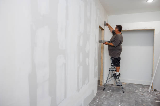 Best Real Estate Mold Inspection  in Griswold, IA